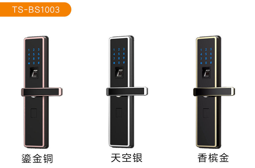 手机门禁,门禁机,指纹门锁 手机门禁,门禁机,指纹门锁